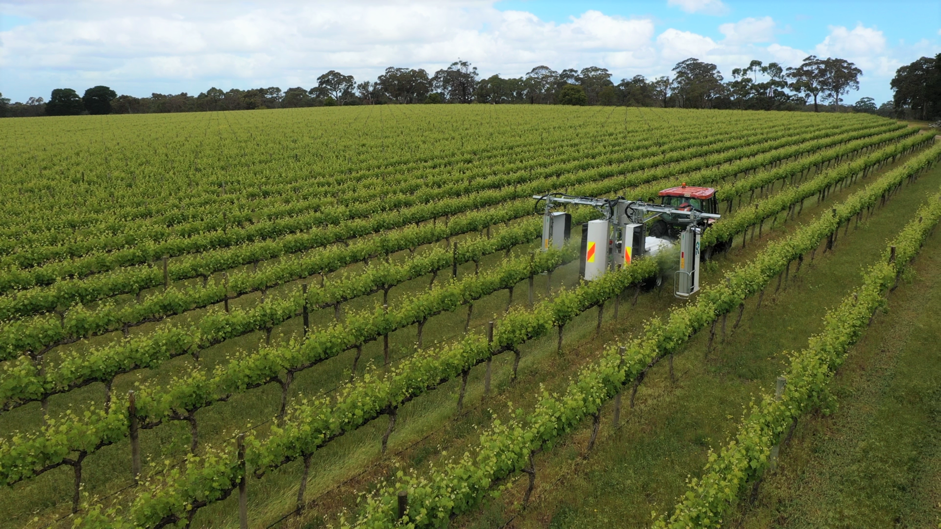 Sustainable sprayer operating in organic vineyards