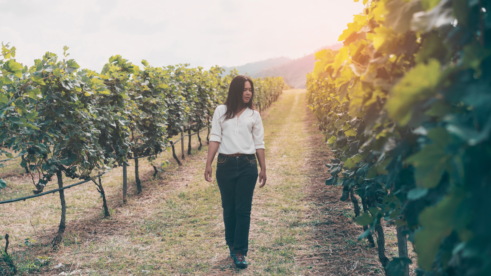 Viticulturist enjoying benefits of mechanisation in small vineyard